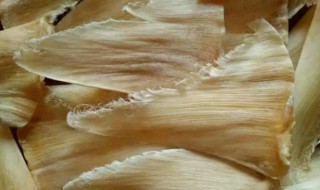 干鱼翅的清洗方法 干鱼翅怎么处理