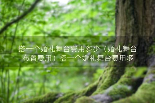 搭一个婚礼舞台费用多少（婚礼舞台布置费用）搭一个婚礼舞台费用多少