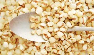 薏仁是什么 薏仁是什么样子的