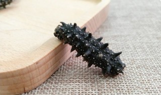 经常吃海参的好处 经常吃海参的好处和坏处