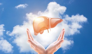 保护肝脏的最佳方法(长期吃优甲乐保护肝脏的最佳方法)