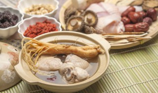 松茸煲鸡汤的做法 松茸煲鸡汤的做法大全