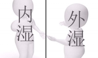 除湿气最好的方法(快速除湿气最好的方法)