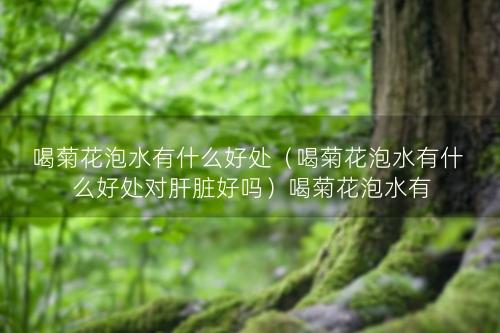 喝菊花泡水有什么好处（喝菊花泡水有什么好处对肝脏好吗）喝菊花泡水有什么好处