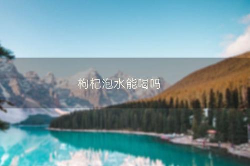 枸杞泡水能喝吗