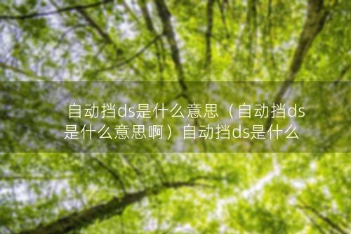 自动挡ds是什么意思（自动挡ds是什么意思啊）自动挡ds是什么意思