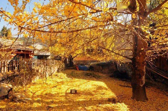 秋天适合去什么地方旅游？
