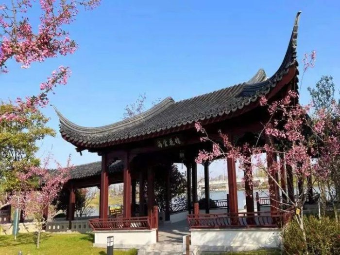 盐城有哪些好玩的旅游景点？