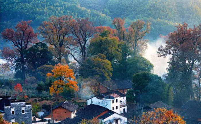 秋天适合去什么地方旅游？