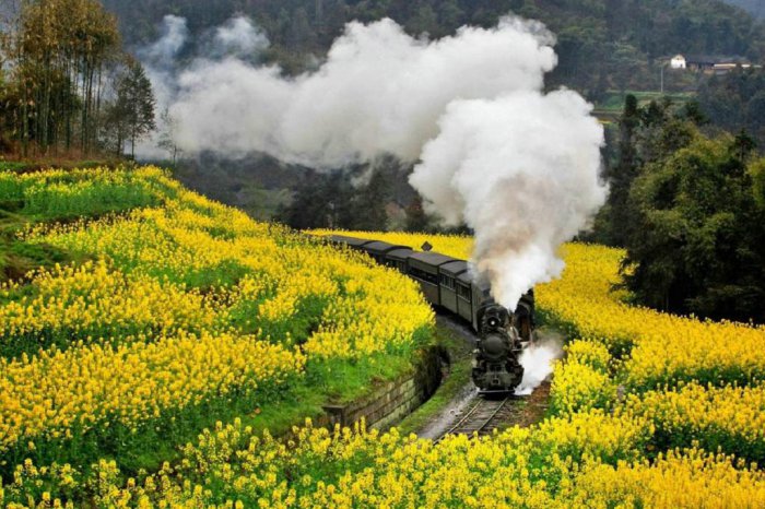 乐山旅游景点哪里好玩？