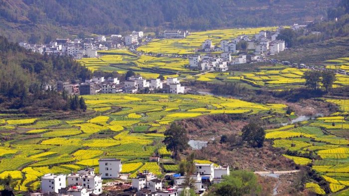 江西上饶有什么旅游景点？