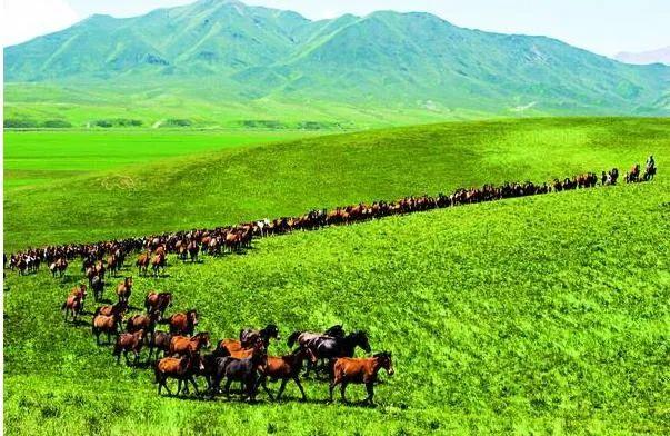 甘肃张掖旅游必去十大景点 张掖旅游攻略必去景点