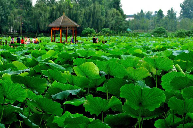成都免费景区有哪些地方？