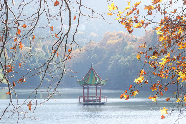 十一国庆江西省内旅游景点推荐
