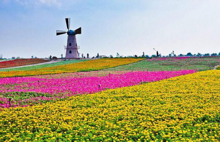 合肥夏季旅游景点排行榜前十名