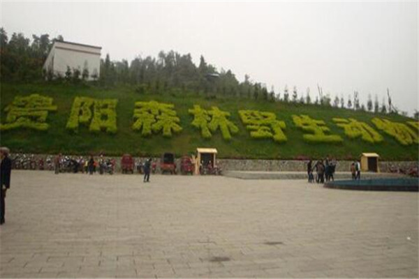 贵阳哪些景点值得去？