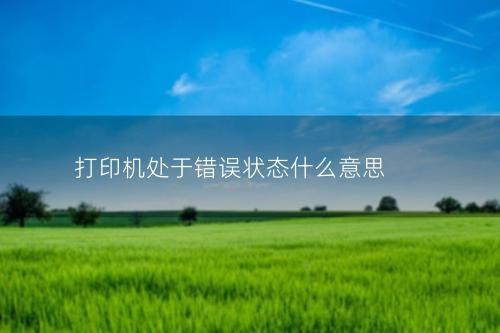 打印机处于错误状态什么意思