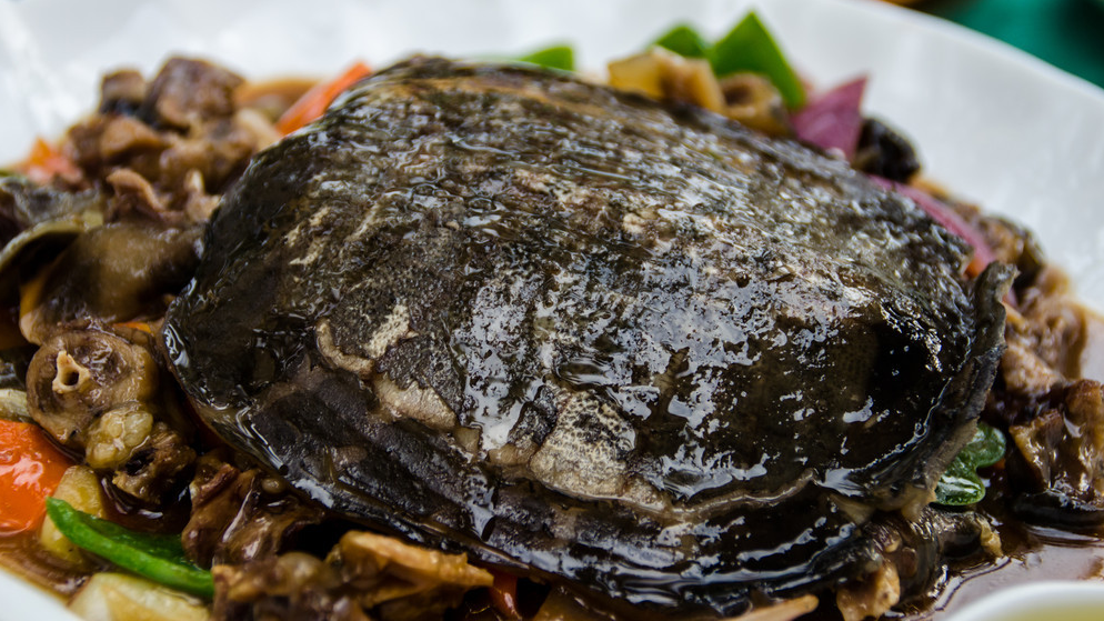 如何制作甲鱼又美味,有什么营养价值与功效?