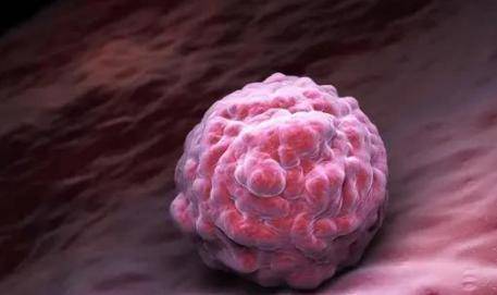 受精卵着床有什么症状