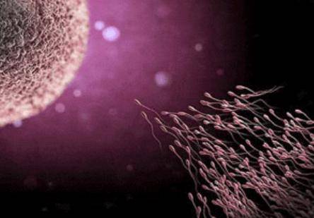 受精卵着床有什么症状