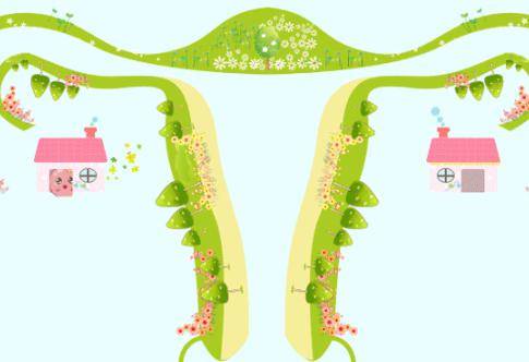 受精卵着床有什么症状