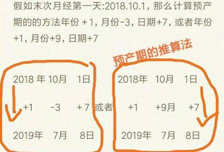 怀孕时间怎么算