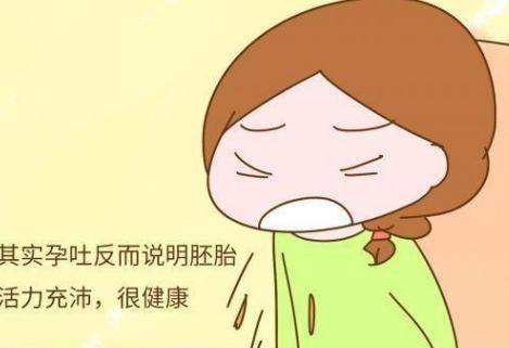 胎儿发育