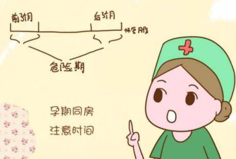 孕中期