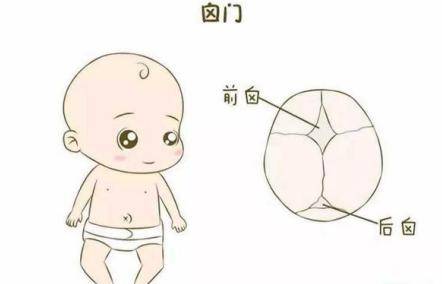 宝宝卤门什么时候闭合才正常