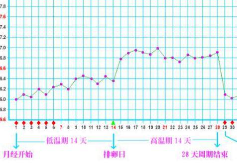 怀孕的初期症状