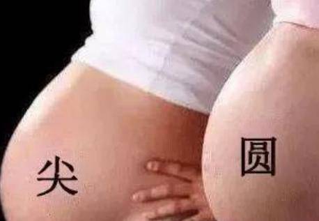 胎儿性别