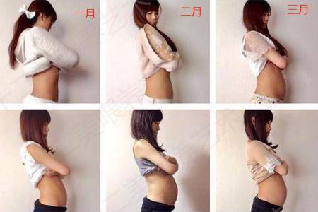 怀孕三个月肚子有多大