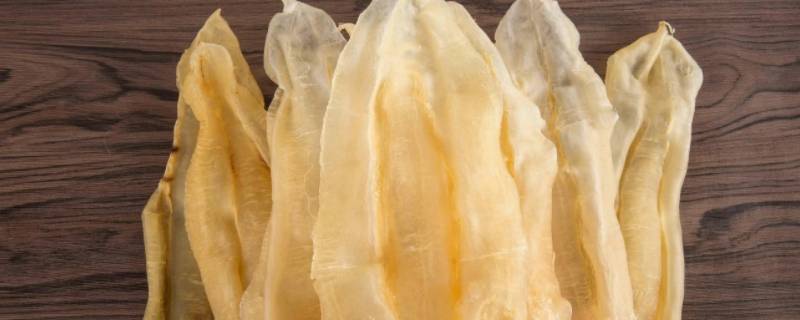 花胶和鱼泡有什么区别