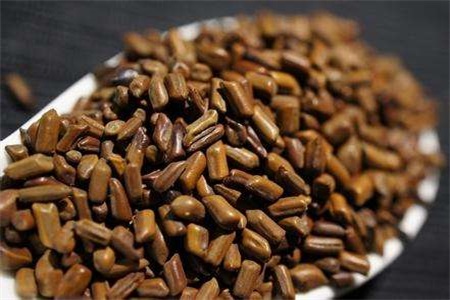 决明子的功效与作用