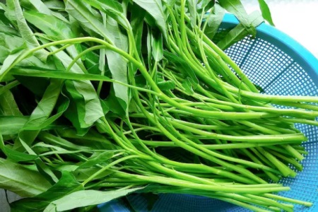 宝宝不爱吃蔬菜