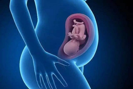 女性受孕成功