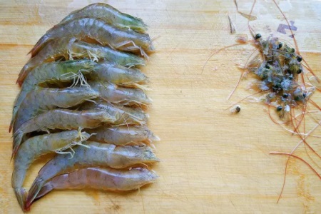 1568020385355533.jpg 娃娃菜