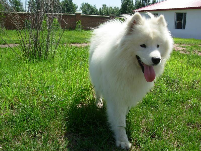 1568106441870491.jpg 宝宝轻松做辅食