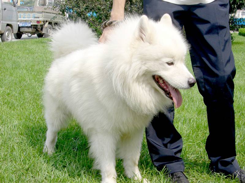 1568106600716034.jpg 备孕前准备