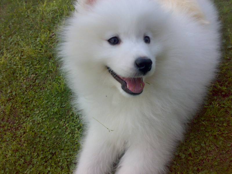 1568106608223074.jpg 怀孕