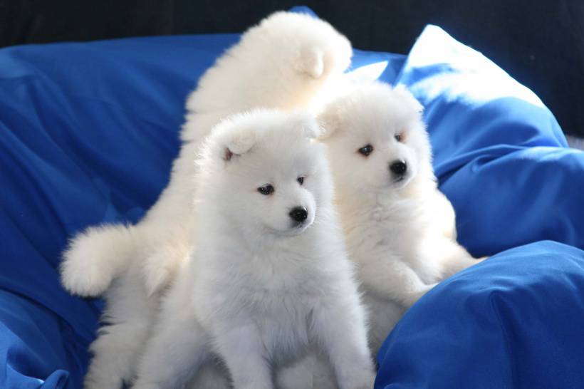 1568106615240602.jpg 备孕