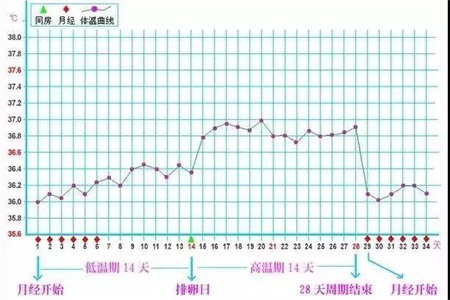1568603947129586.jpg 备孕方式