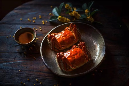 孕妇不能吃的食物