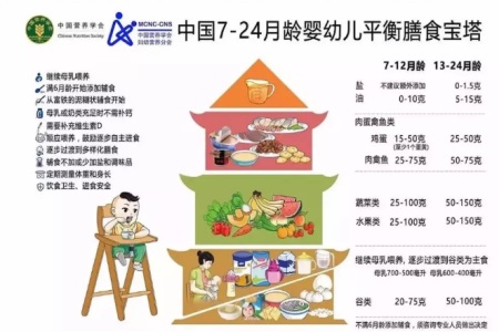 宝宝辅食食谱
