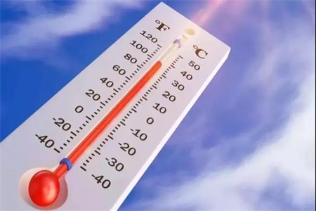 1563815131770301.jpg h.jpg