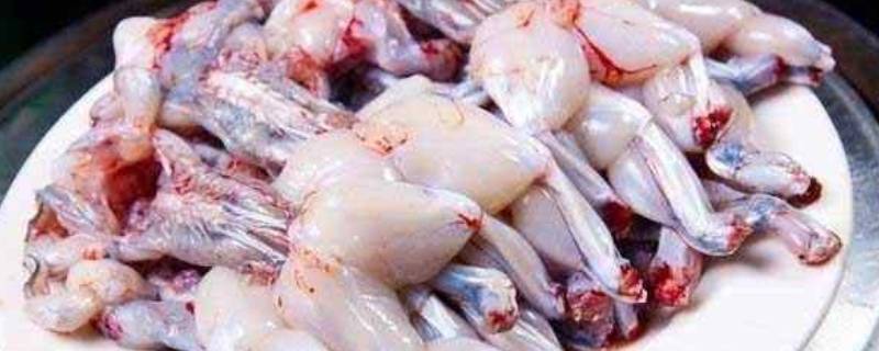 田鸡要煮多久才能吃