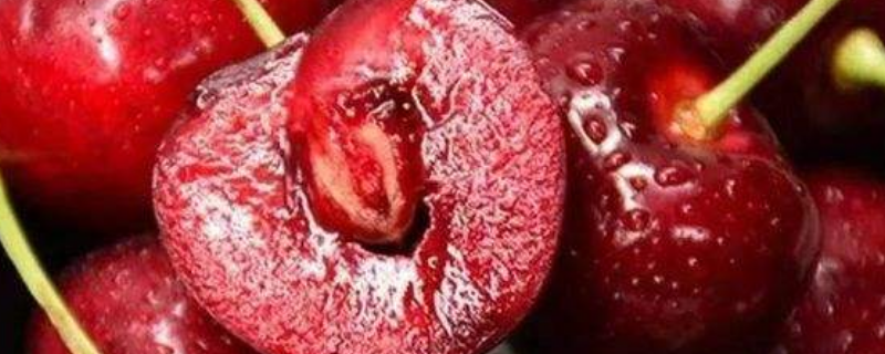 车厘子的核有没有毒