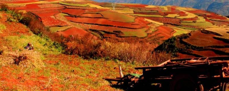 东川省是哪个地方