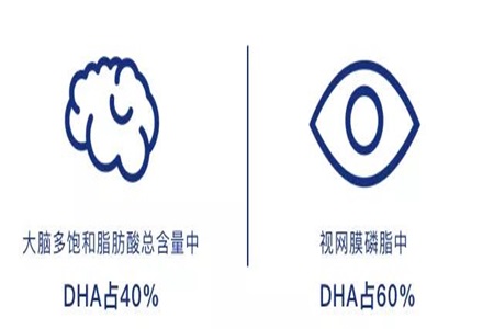1557466835676519.jpg e.jpg