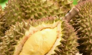 哺乳期可以吃榴莲吗